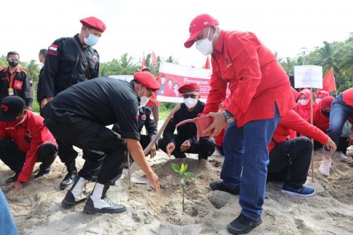 gerakan menanam Pohon mangrove