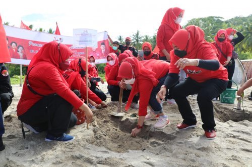 gerakan menanam Pohon mangrove