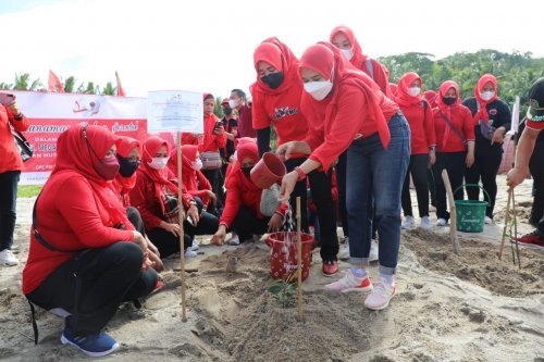 gerakan menanam Pohon mangrove