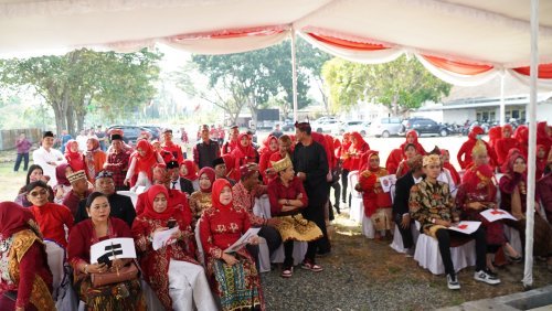 PENDAFTARAN CALEG DPC PDI PERJUANGAN LAMPUNG SELATAN TAHUN 2023