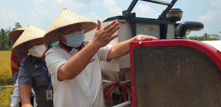 Bimbingan Tekhnis dan Panen Raya di Kecamatan Sidomulyo