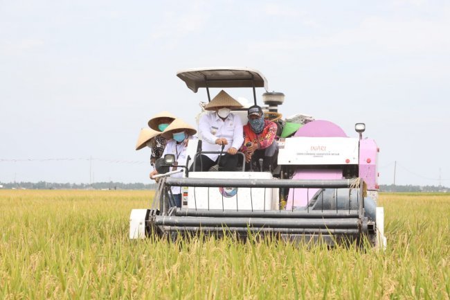 Bupati Kabupaten Lampung Selatan H. Nanang  Ermanto  Menghadiri bimtek dan panen bersama di Kecamatan Sragi kabupaten Lampung Selatan
