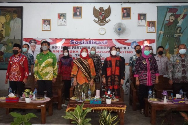 Hj.Winarni Nanang Ermanto memberikan Sosialisasi 1000 hari pertama kelahiran di kecamatan natar 