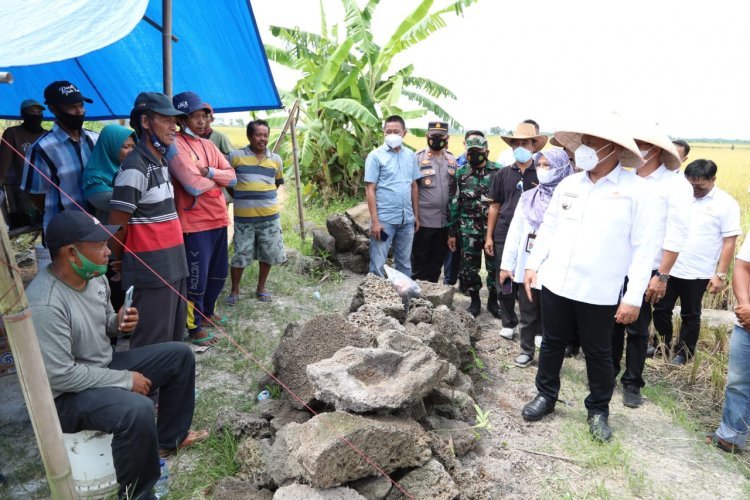 Bupati Kabupaten Lampung Selatan H. Nanang  Ermanto  Menghadiri bimtek dan panen bersama di Kecamatan Sragi kabupaten Lampung Selatan