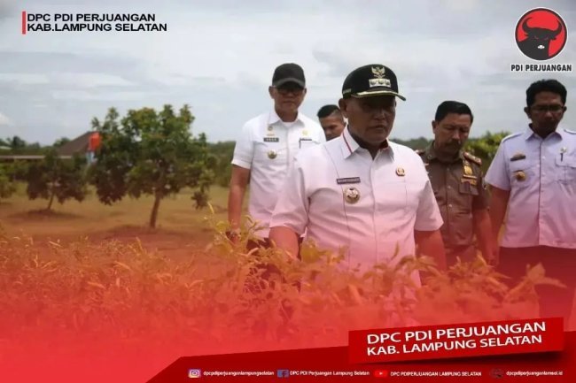 Bupati Lampung Selatan H. Nanang Ermanto Tinjau Progres Program Petani Milenial