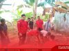 BBHAR DPC PDI Perjuangan Kabupaten Lampung Selatan Sembeli Sapi Kurban dan Di Bagikan Masyarakat Sekitar