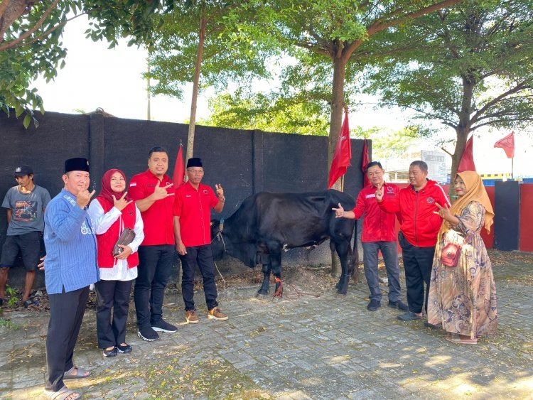 Wujud Nyata Kepedulian Kepada Masyarakat, DPC PDI Perjuangan Lampung Selatan Sembelih Hewan Qurban